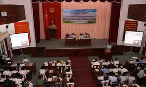 Hậu Giang phát triển chuỗi giá trị lúa gạo chất lượng cao