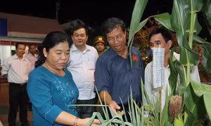 Khai mạc hội chợ xúc tiến thương mại - du lịch- nông nghiệp tỉnh Trà Vinh