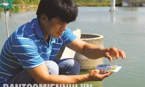 Một số biện pháp phòng bệnh cho động vật thủy sản 