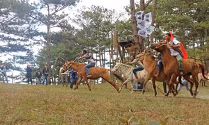 Đà Lạt: Độc đáo đua ngựa không yên trên đồi cỏ hồng