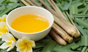 Thu tinh dầu sả - Hướng mới thích ứng với biến đổi khí hậu