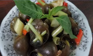 Ốc bươu - sản vật hương đồng nội ăn một lần là nhớ mãi
