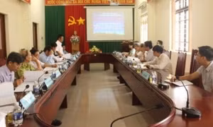 Cây Mắc ca sẽ được trồng trên địa bàn tỉnh Đắk Nông