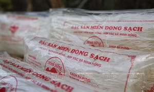 Miến dong Minh Hồng