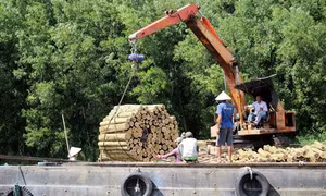 Cà Mau quy hoạch phát triển vùng kinh tế biển và ven biển
