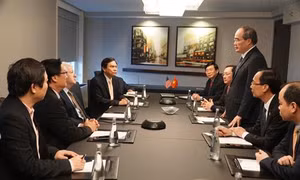 Đại học Quốc gia Thành phố Hồ Chí Minh và Đại học Califoria, Los Angeles (Hoa Kỳ) đẩy mạnh hợp tác trong lĩnh vực nghiên cứu