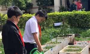 Nhân rộng mô hình “Vườn rau sạch của em” ở Gia Lai