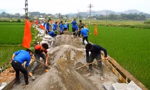 Tuổi trẻ Kon Tum chung tay xây dựng nông thôn mới