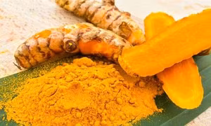 Tinh hoa từ cây nghệ Hưng Yên