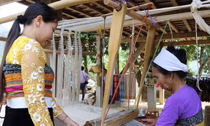 Những bàn tay dệt vải giữ hoa văn truyền thống dân tộc Thái