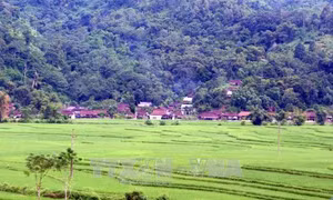 Đến thăm làng cổ của người Tày ở Na Hang