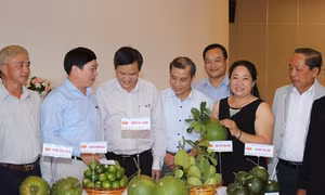 Hậu Giang khuyến khích doanh nghiệp Hà Nội đầu tư vào nông nghiệp, nông thôn