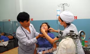 Thành phố Hồ Chí Minh: Điều tra, làm rõ nguyên nhân nhiều công nhân chóng mặt, ngất xỉu phải nhập viện