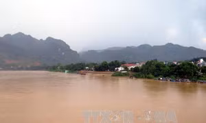 Tuyên Quang: Nước lũ dâng cao trên sông Lô, sông Gâm