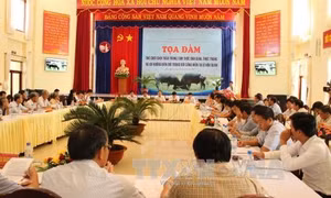 Nâng tầm Hội Chọi Trâu Hớn Quản thành di sản văn hóa phi vật thể Quốc gia