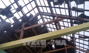 Các địa phương nỗ lực khắc phục thiệt hại của bão số 12