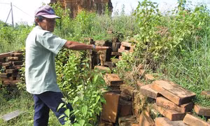 Di tích quốc gia đặc biệt tháp Hòa Lai cần sớm được tu bổ, tôn tạo