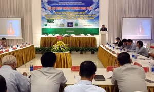 Sẽ thí điểm xây dựng mô hình liên kết giữa doanh nghiệp – hợp tác xã – nông dân