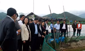 Đồng chí Trương Thị Mai, Trưởng Ban Dân vận Trung ương làm việc tại Phú Yên