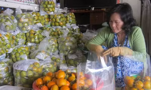Hồng giòn Đà Lạt