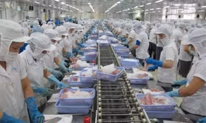 Phát triển chuỗi liên kết thủy sản Việt Nam trong bối cảnh thực hiện các hiệp định thương mại tự do