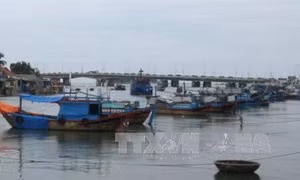 Tài trợ hơn 29,5 triệu USD hỗ trợ các tỉnh ven biển phòng, chống thiên tai