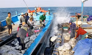 Nâng cao nhận thức về chủ quyền biển đảo cho ngư dân Nam Định