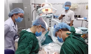 Nhiệm vụ và cơ cấu tổ chức của Bộ Y tế
