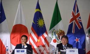 TPP có tên gọi mới là Hiệp định Đối tác toàn diện và tiến bộ xuyên Thái Bình Dương (CPTPP)