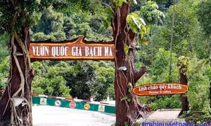 Bảo tồn đa dạng sinh học Vườn Quốc gia Bạch Mã (Bài 1)