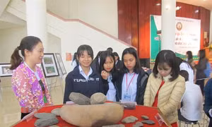 Khai trương trưng bày hiện vật, tư liệu, sách, báo về “Văn hóa Hòa Bình”