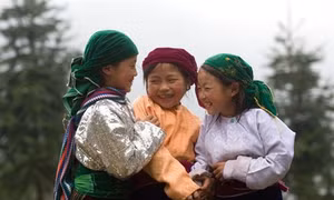 Miền sơn cước