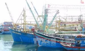 Quảng Nam tạo điều kiện để ngư dân vươn khơi bám biển