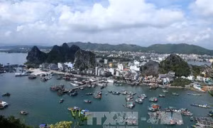 Cần xây dựng Luật phát huy được khả năng của các đơn vị hành chính, kinh tế đặc biệt