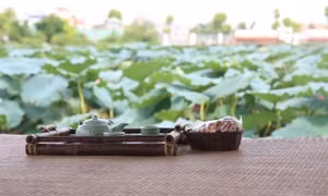 Hà Nội sẽ xây dựng không gian thưởng thức trà sen Tây Hồ