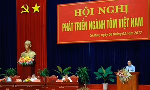 Xuất khẩu tôm tiếp tục đối mặt với khó khăn