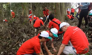 Thanh Hóa ra quân trồng rừng "vì một Việt Nam Xanh"