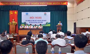 Sẽ cấp mã số vùng trồng hồ tiêu