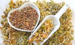 Lợi ích của rau mầm