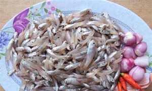 Cá man man - món ngon của mảnh đất miền Trung