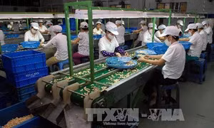 Giải pháp giúp nông sản Việt Nam vượt qua hàng rào kỹ thuật xuất khẩu