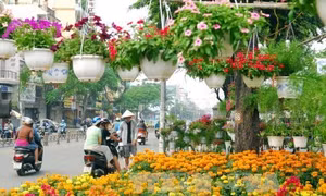Không khí đón Tết Đinh Dậu tại Thành phố Hồ Chí Minh