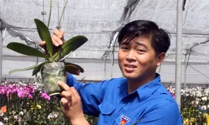 “Thủ lĩnh” Đoàn viên tự thân lập nghiệp trên đất cao nguyên
