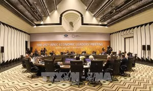 Khai mạc Hội nghị các nhà lãnh đạo kinh tế APEC lần thứ 25
