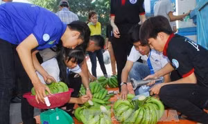 Tuổi trẻ Thành phố Hồ Chí Minh hỗ trợ tiêu thụ sản phẩm cho nông dân Đồng Nai