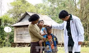 Khởi sắc Làng Ho