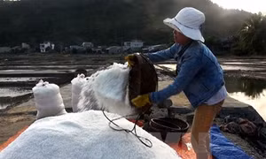 Giảm muối trong khẩu phần ăn giúp cứu sống hàng triệu người
