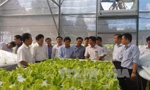 Chú trọng ứng dụng công nghệ để phát triển bền vững