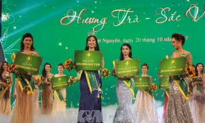 Nữ sinh Nguyễn Dương Tiểu Vy đoạt giải nhất Người đẹp xứ Trà năm 2017