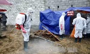 Tăng cường phòng, chống dịch bệnh mùa Đông - Xuân
